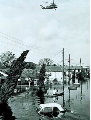 Lower 9th after Hurricane Betsy