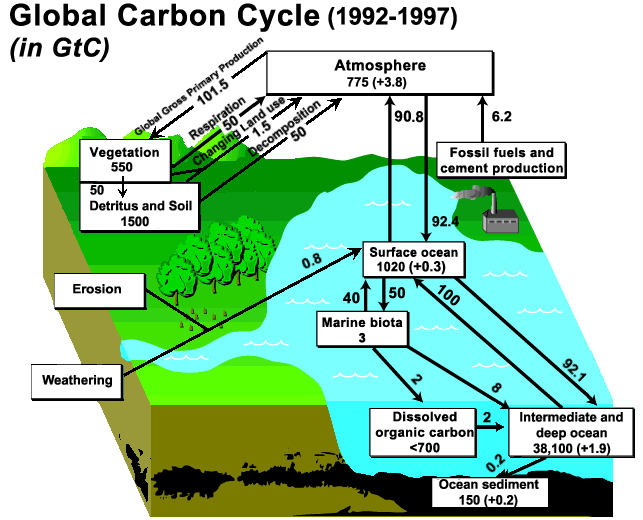 The Carbon Dioxide Information Analysis Center DOE